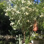 Botanica * Neustadt an der Weinstraße