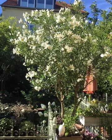 Botanica * Neustadt an der Weinstraße