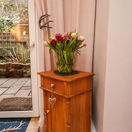 Botanica Apartamento