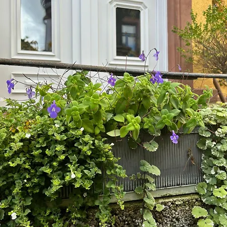Botanica Apartamento *