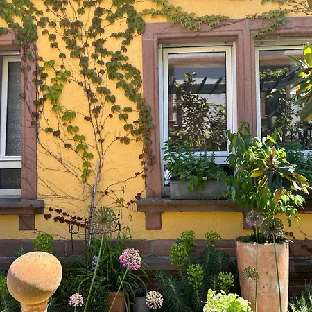 Botanica Apartamento