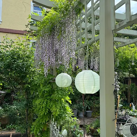 Botanica Apartamento *