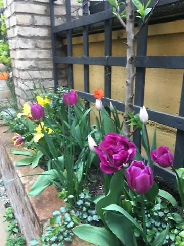 公寓 Botanica Neustadt an der Weinstraße