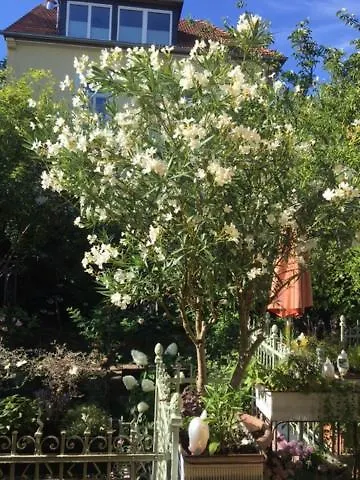 Botanica * Neustadt an der Weinstraße